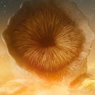 Dune 2 iPhone wallpaper