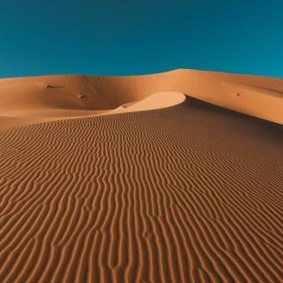 iPhone Dune wallpaper