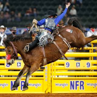 Saddle bronc wallpaper