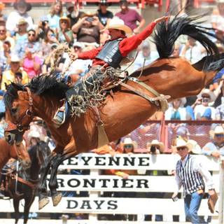 Saddle bronc wallpaper
