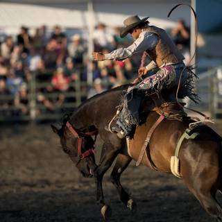 Saddle bronc wallpaper