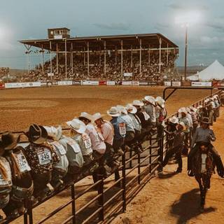 Saddle bronc wallpaper