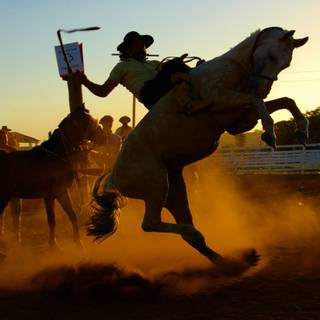 Saddle bronc wallpaper