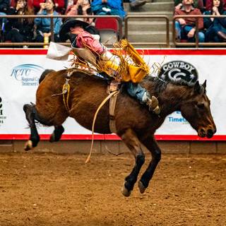 Saddle bronc wallpaper