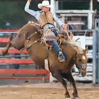 Saddle bronc wallpaper