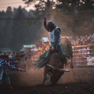 Saddle bronc wallpaper