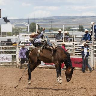 Saddle bronc wallpaper