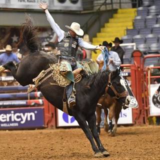 Saddle bronc wallpaper