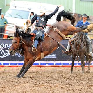 Saddle bronc wallpaper