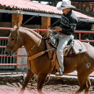 Saddle bronc wallpaper