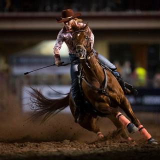 Saddle bronc wallpaper