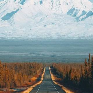 Alaska iPhone wallpaper