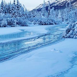 Alaska iPhone wallpaper