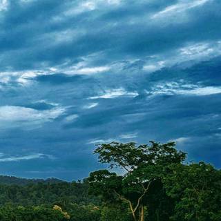 Village mobile wallpaper