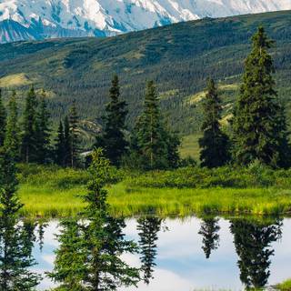 Alaska iPhone wallpaper