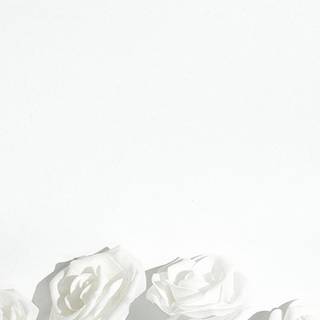 Aesthetic white phone wallpaper