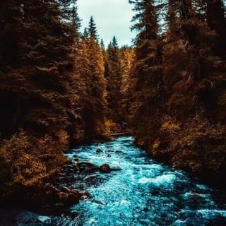 Alaska iPhone wallpaper