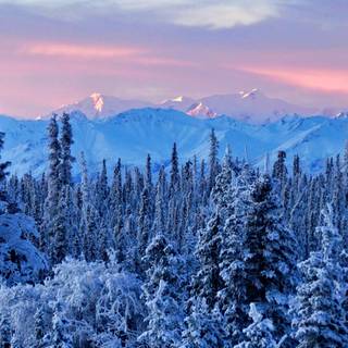 Alaska iPhone wallpaper