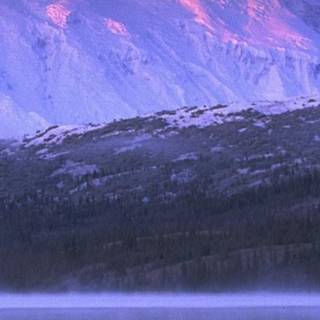 Alaska iPhone wallpaper