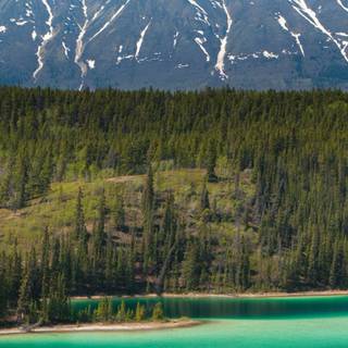 Alaska iPhone wallpaper