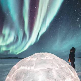 Alaska iPhone wallpaper