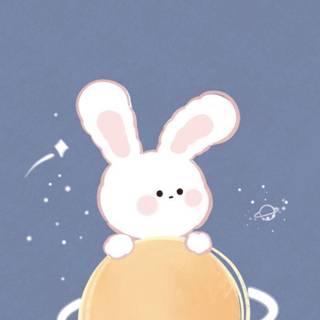 Bunny iPhone wallpaper