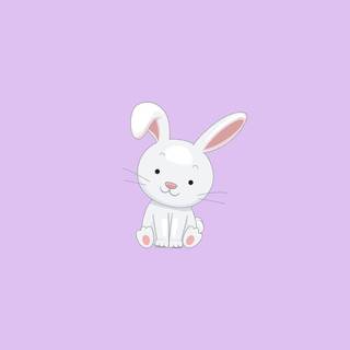 Bunny iPhone wallpaper