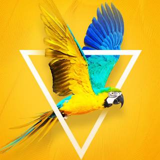 Techno phone wallpaper