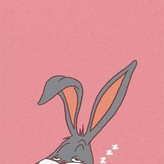 Bunny iPhone wallpaper