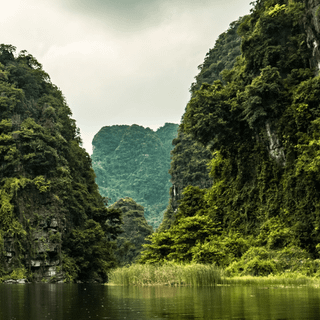 Vietnam phone wallpaper