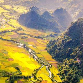 Vietnam phone wallpaper