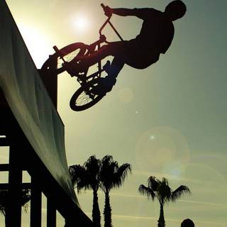 BMX phone wallpaper