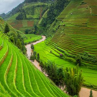 Vietnam phone wallpaper