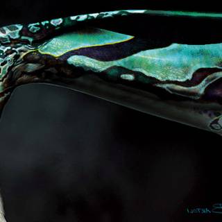 Avatar Banshee wallpaper