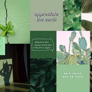 Green desktop aesthetic wallpaper