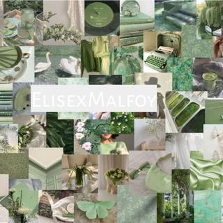 Green desktop aesthetic wallpaper