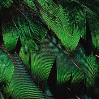 Green desktop aesthetic wallpaper