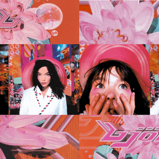 Bjork desktop wallpaper