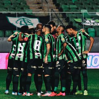 América Mineiro wallpaper