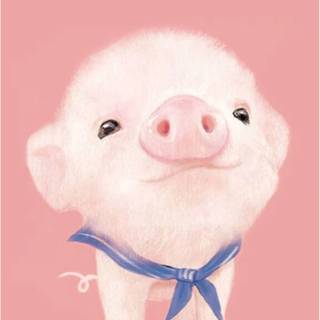 Preppy pig wallpaper