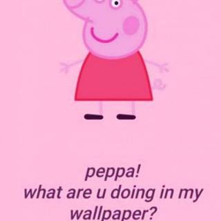 Preppy pig wallpaper