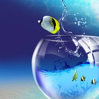 Windows 10 HP wallpaper