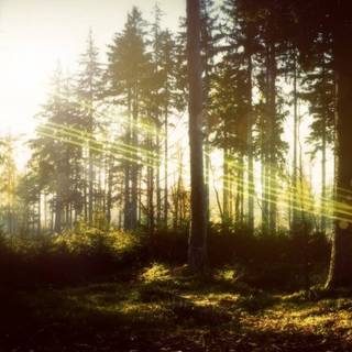 Desktop magic wallpaper