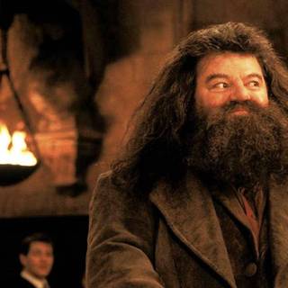 Robbie Coltrane wallpaper