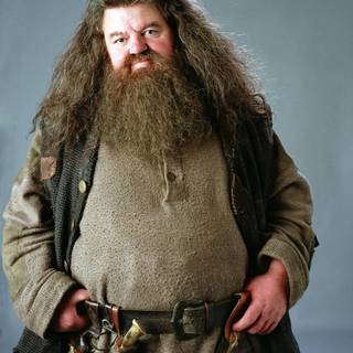 Robbie Coltrane wallpaper