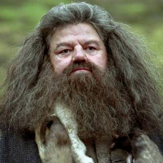 Robbie Coltrane wallpaper