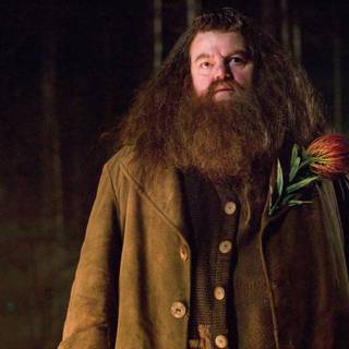 Robbie Coltrane wallpaper