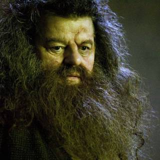 Robbie Coltrane wallpaper