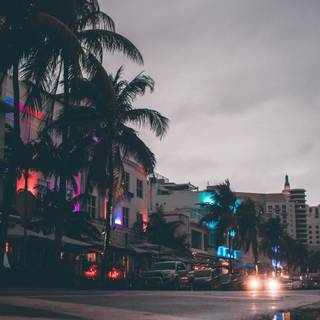 High definition 4k wallpaper