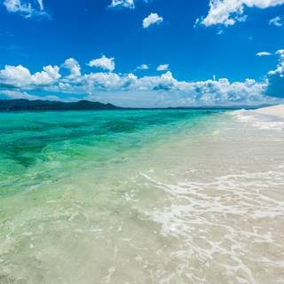 High definition 4k wallpaper